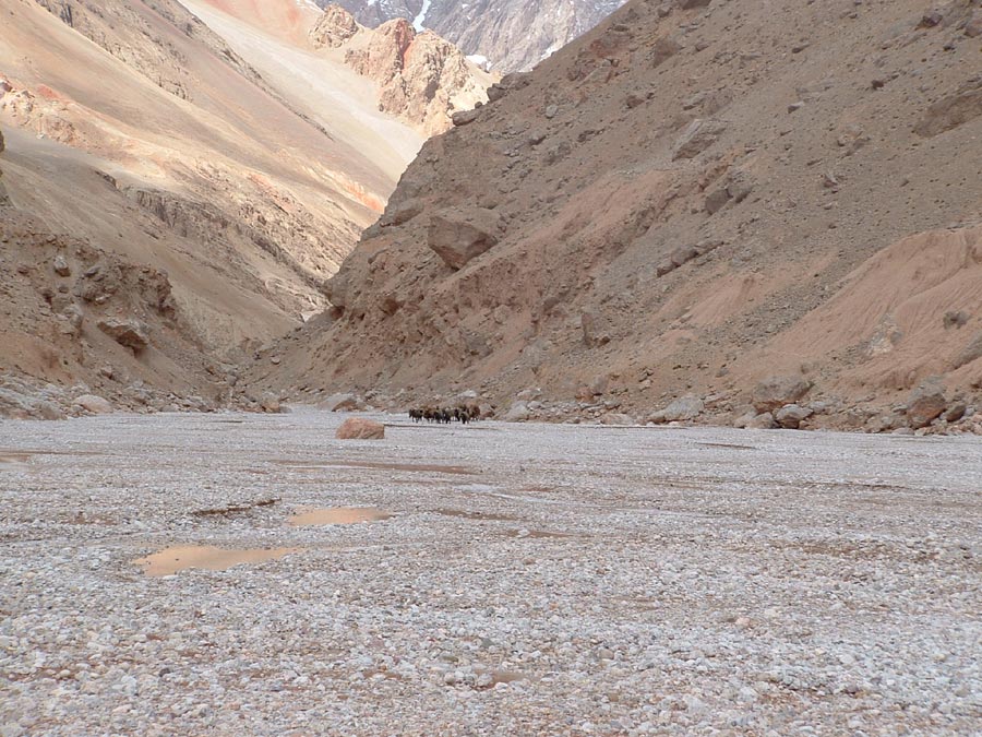 Ladakh Trek Photo