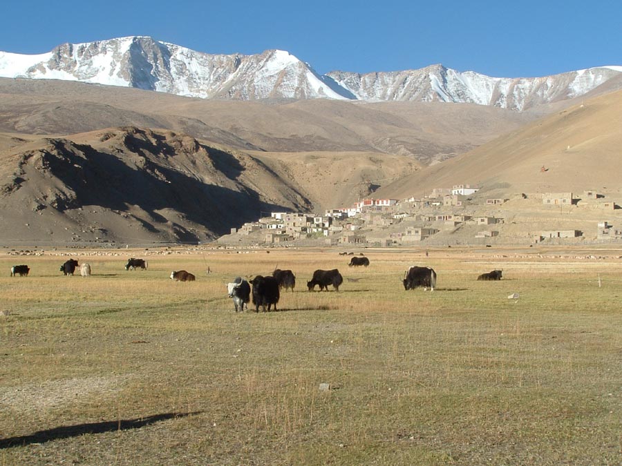 Ladakh Trek Photo