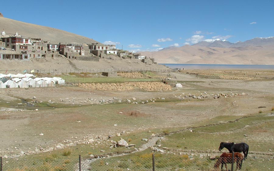 Ladakh Trek Photo