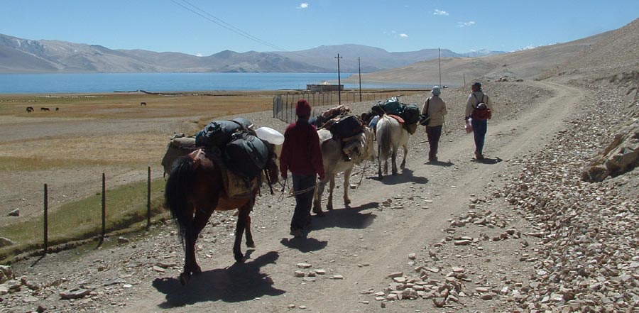 Ladakh Trek Photo