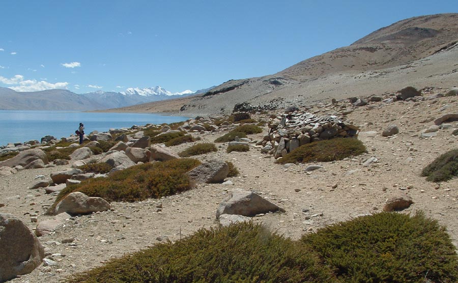 Ladakh Trek Photo