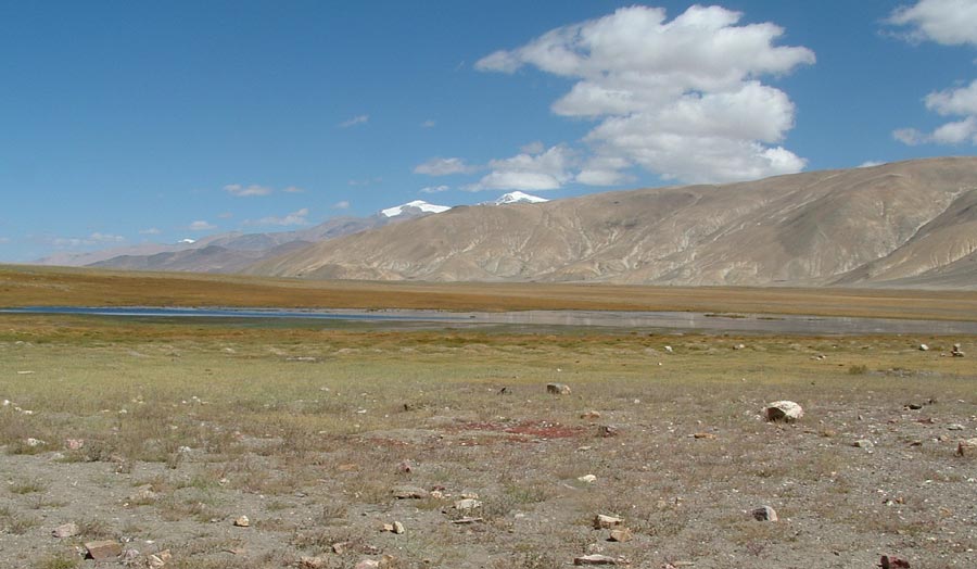 Ladakh Trek Photo