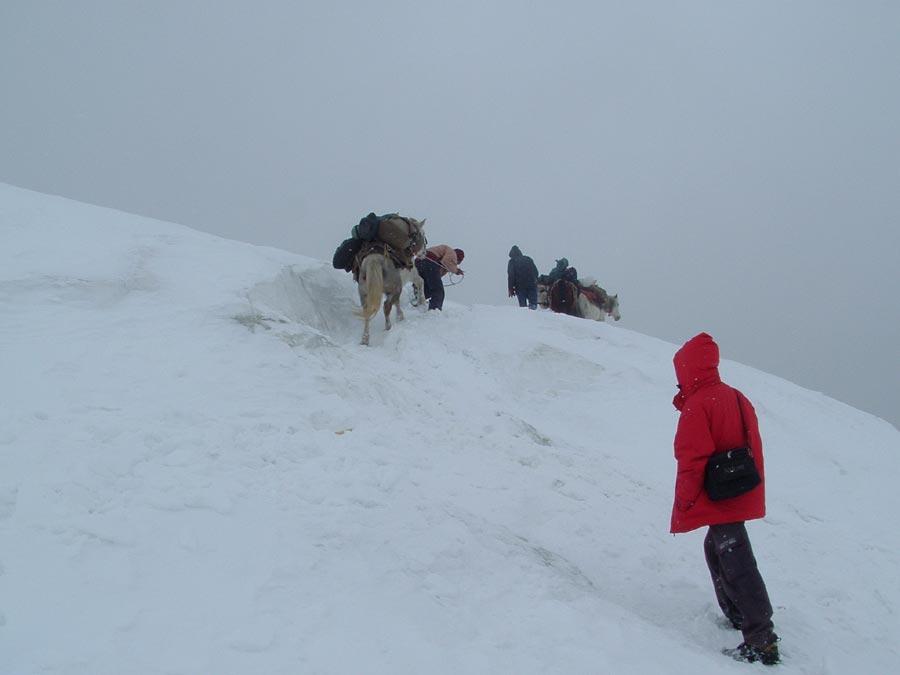 Ladakh Trek Photo