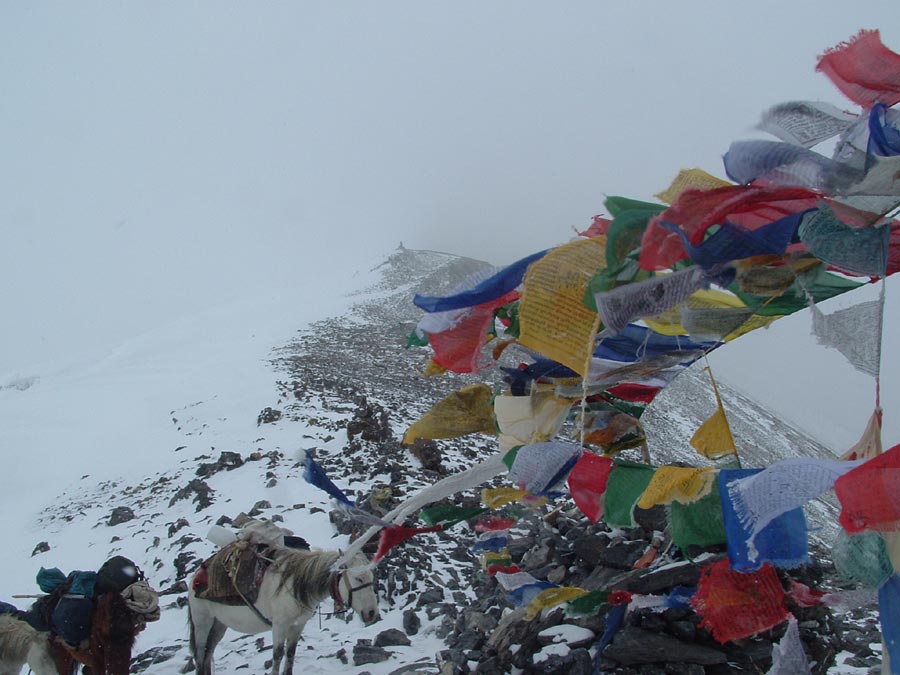 Ladakh Trek Photo