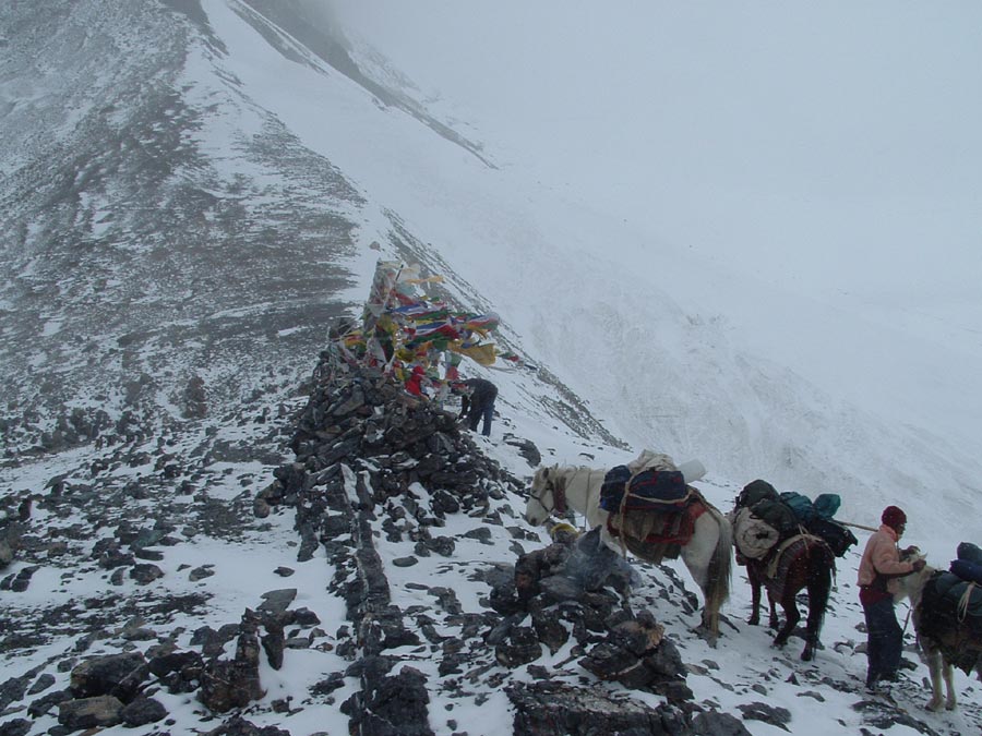 Ladakh Trek Photo