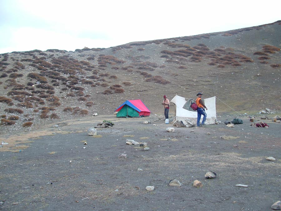 Ladakh Trek Photo