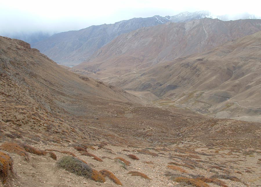 Ladakh Trek Photo