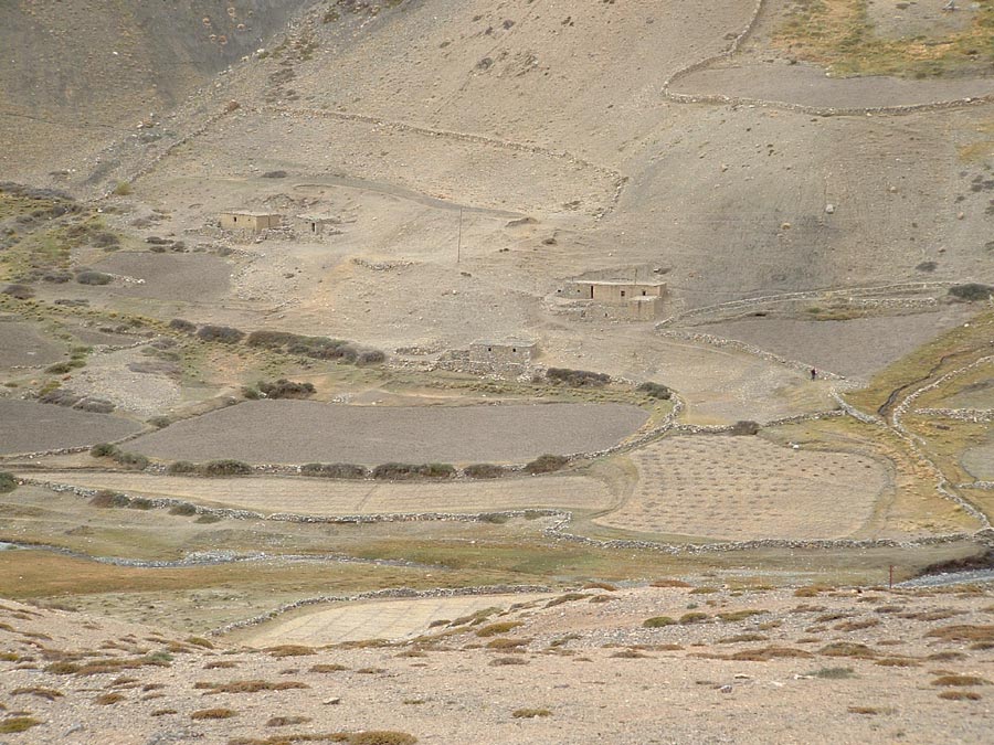 Ladakh Trek Photo