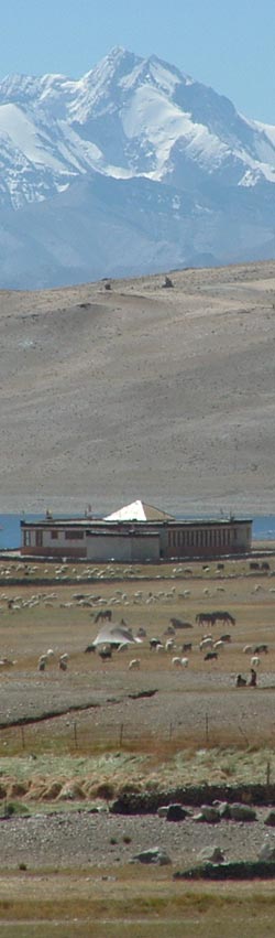 Ladakh Trek Photo