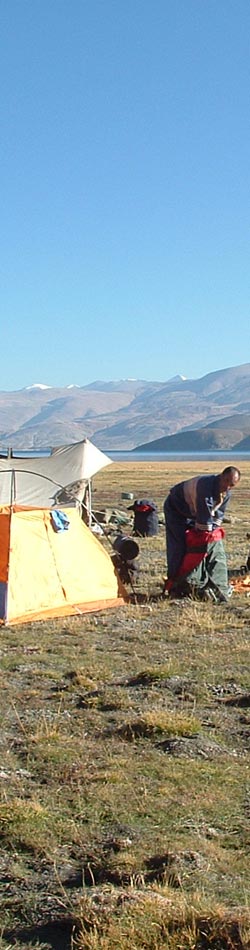 Ladakh Trek Photo