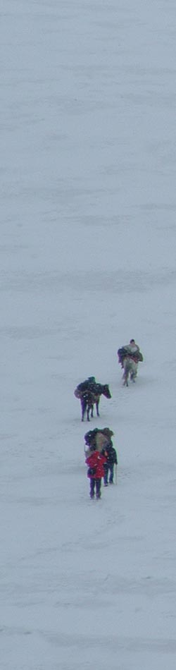 Ladakh Trek Photo