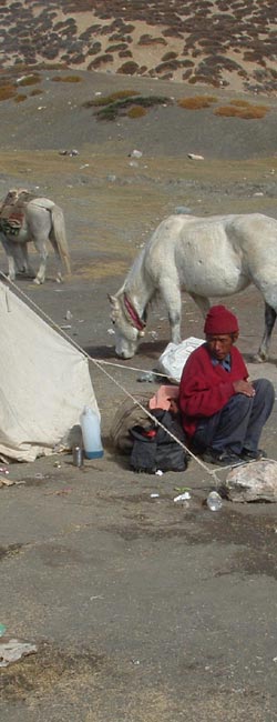 Ladakh Trek Photo