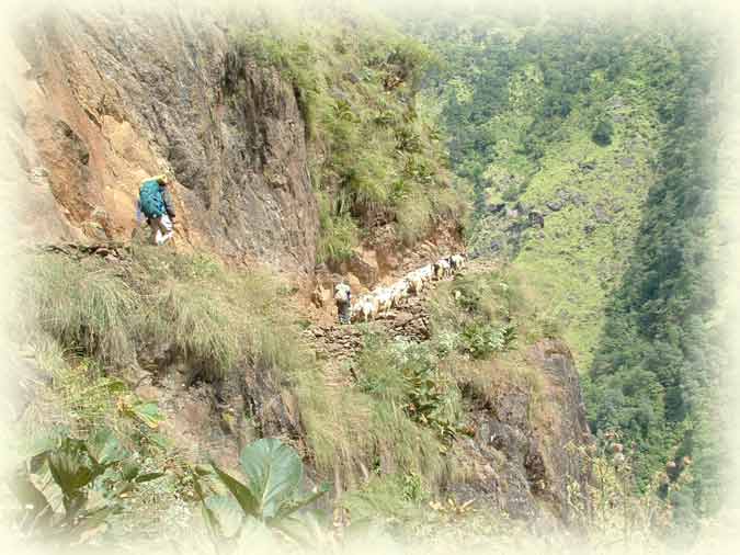 Kumaon Himalaya Trek Photo