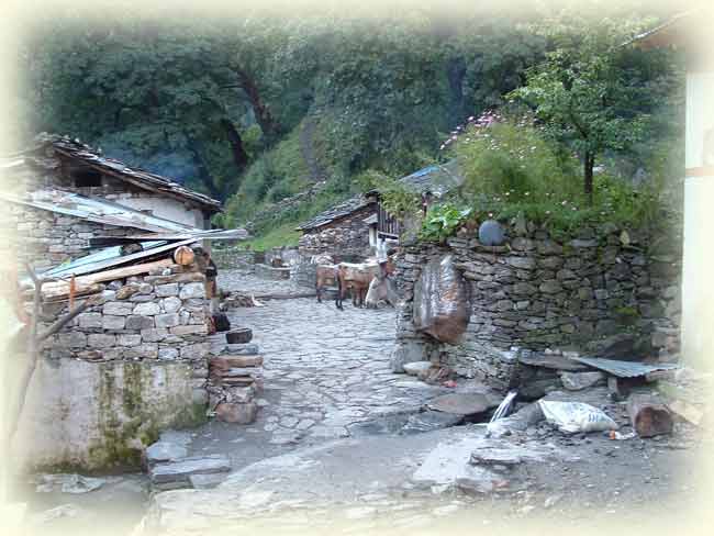 Kumaon Himalaya Trek Photo