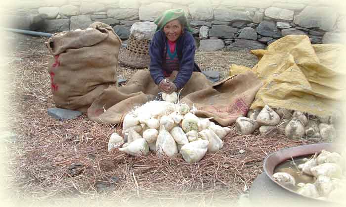 Kumaon Himalaya Trek Photo