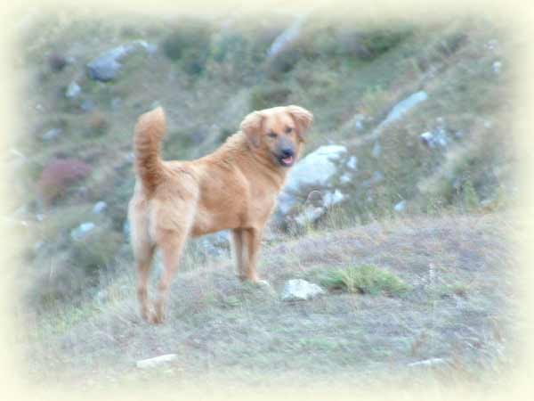 Kumaon Himalaya Trek Photo