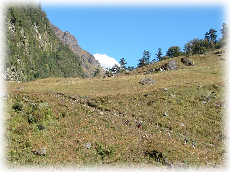 Kumaon Himalaya Trek Photo