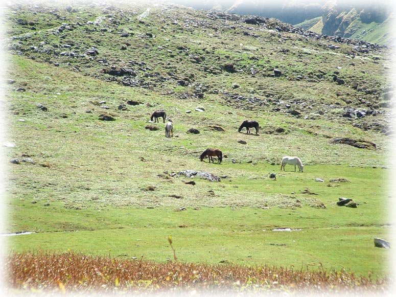 Kumaon Himalaya Trek Photo