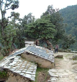 Kumaon Himalaya Trek Photo