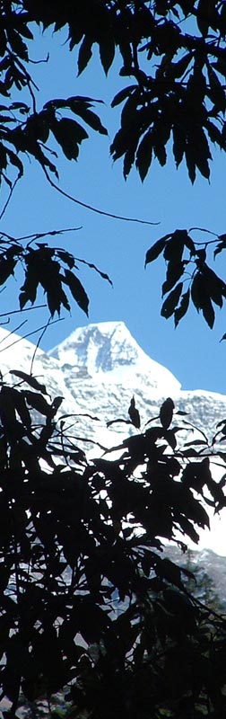 Kumaon Himalaya Trek Photo