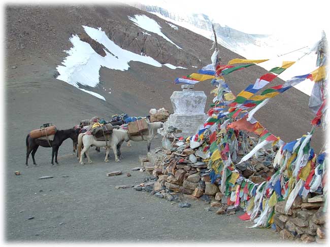 Ladakh Trek Photo