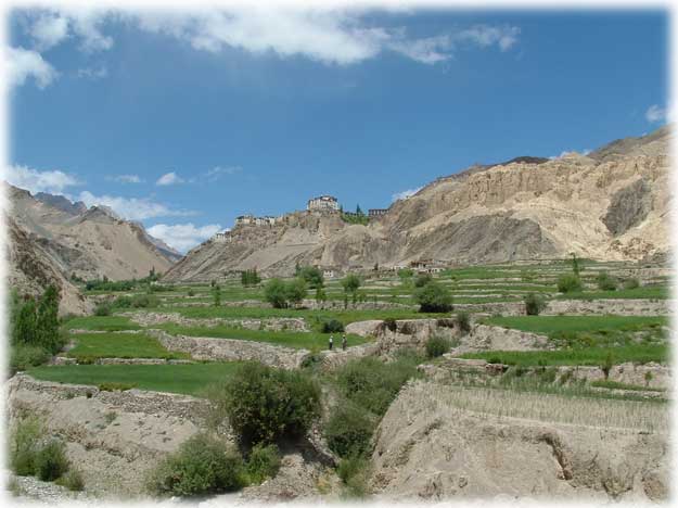 Ladakh Trek Photo