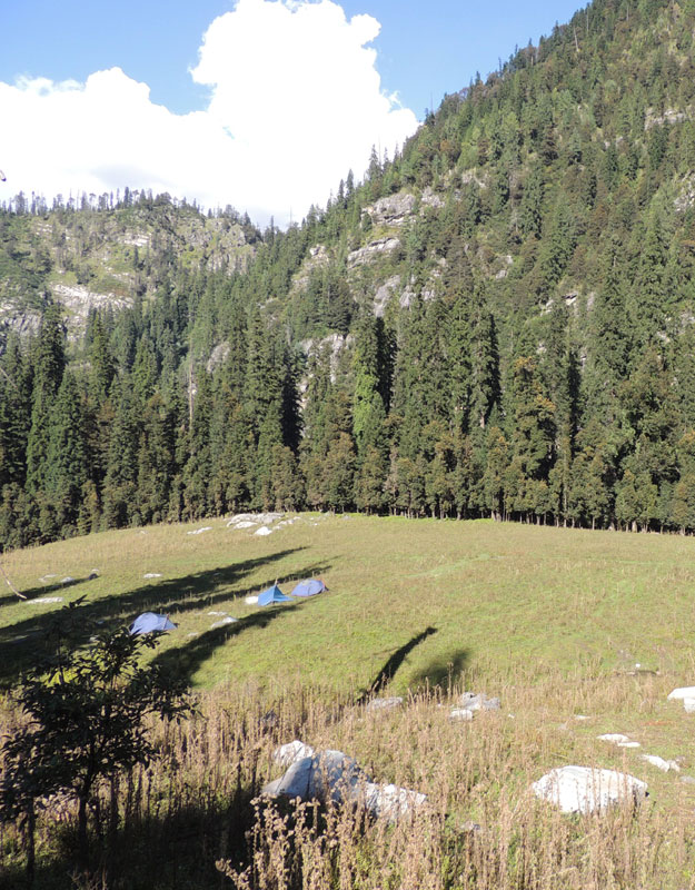 Camping in Himalaya Photo