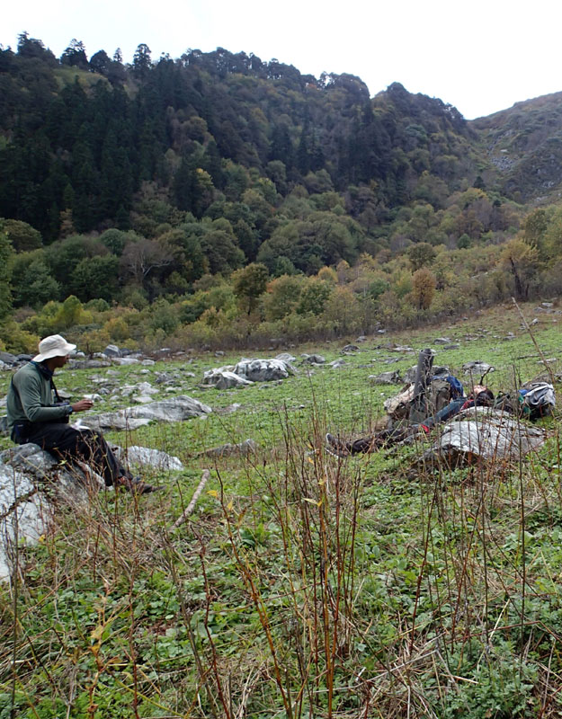 Camping in Himalaya Photo