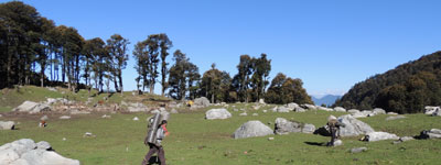 Camping in Himalaya Photo