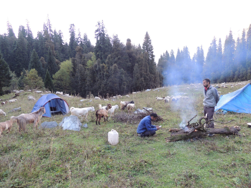 Camping in Himalaya Photo