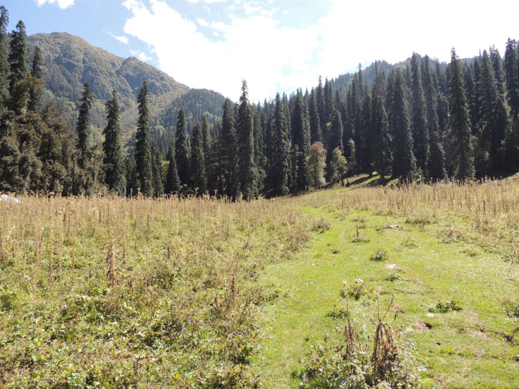 Camping in Himalaya Photo