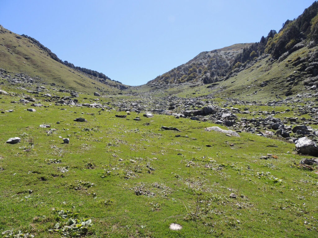 Camping in Himalaya Photo