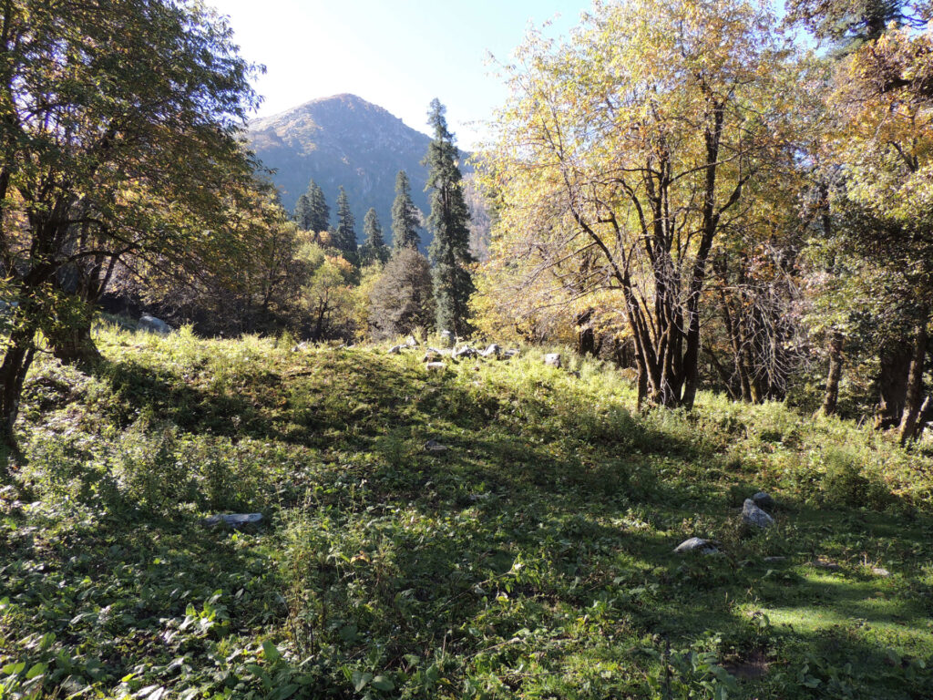 Camping in Himalaya Photo