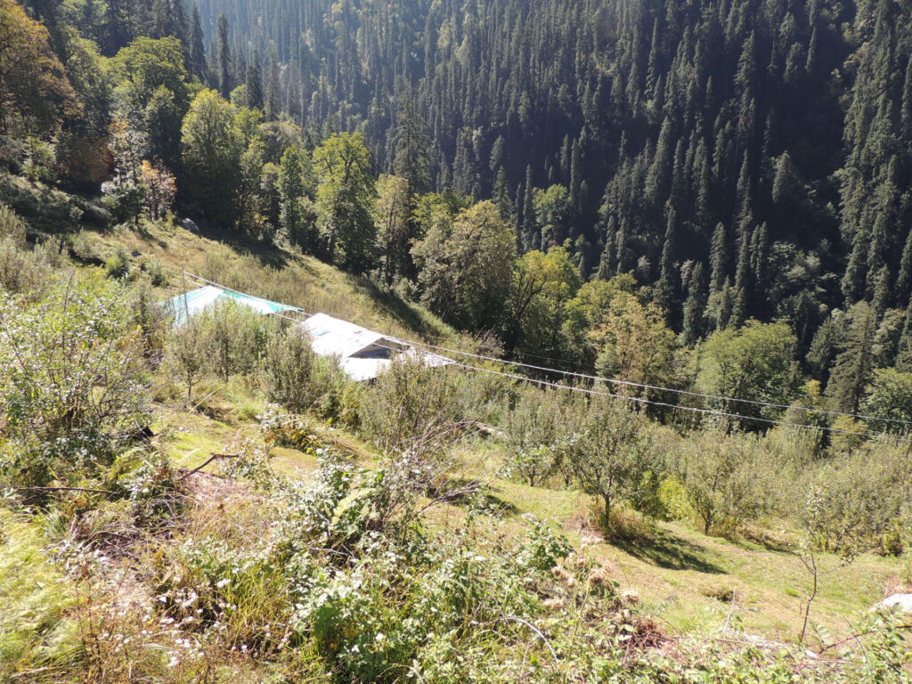 Camping in Himalaya Photo