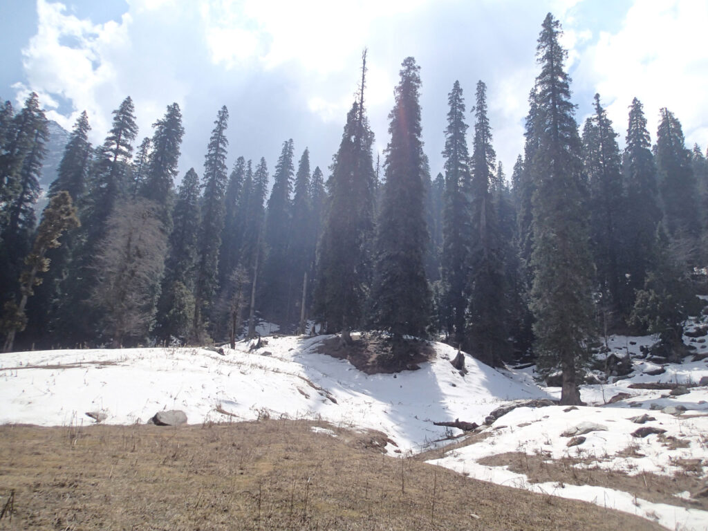 Camping in Himalaya Photo