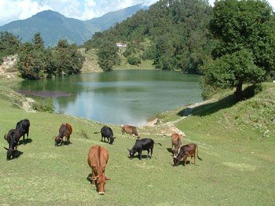 Garhwal Himalaya Trek Photo