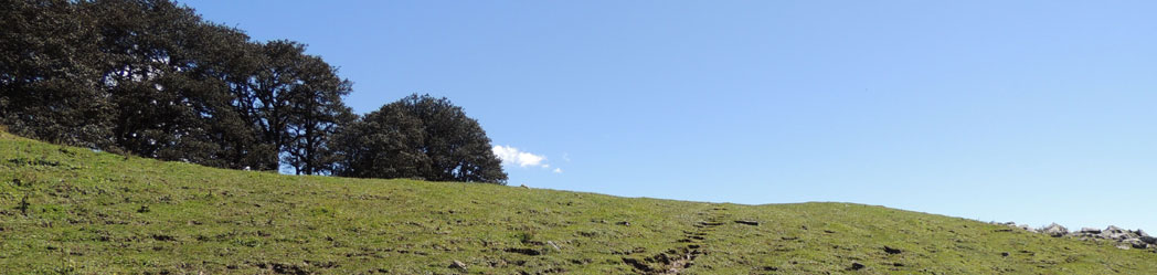 Camping in Himalaya Photo