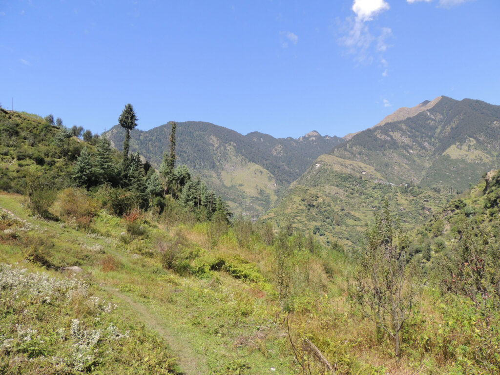 Camping in Himalaya Photo