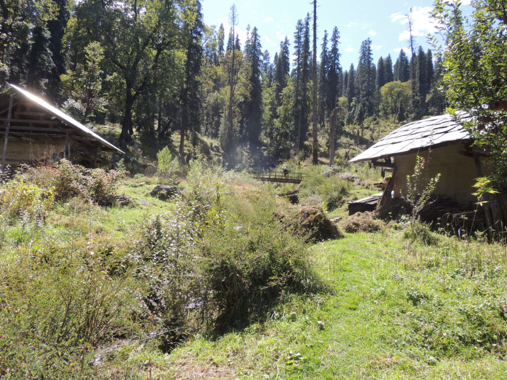 Camping in Himalaya Photo