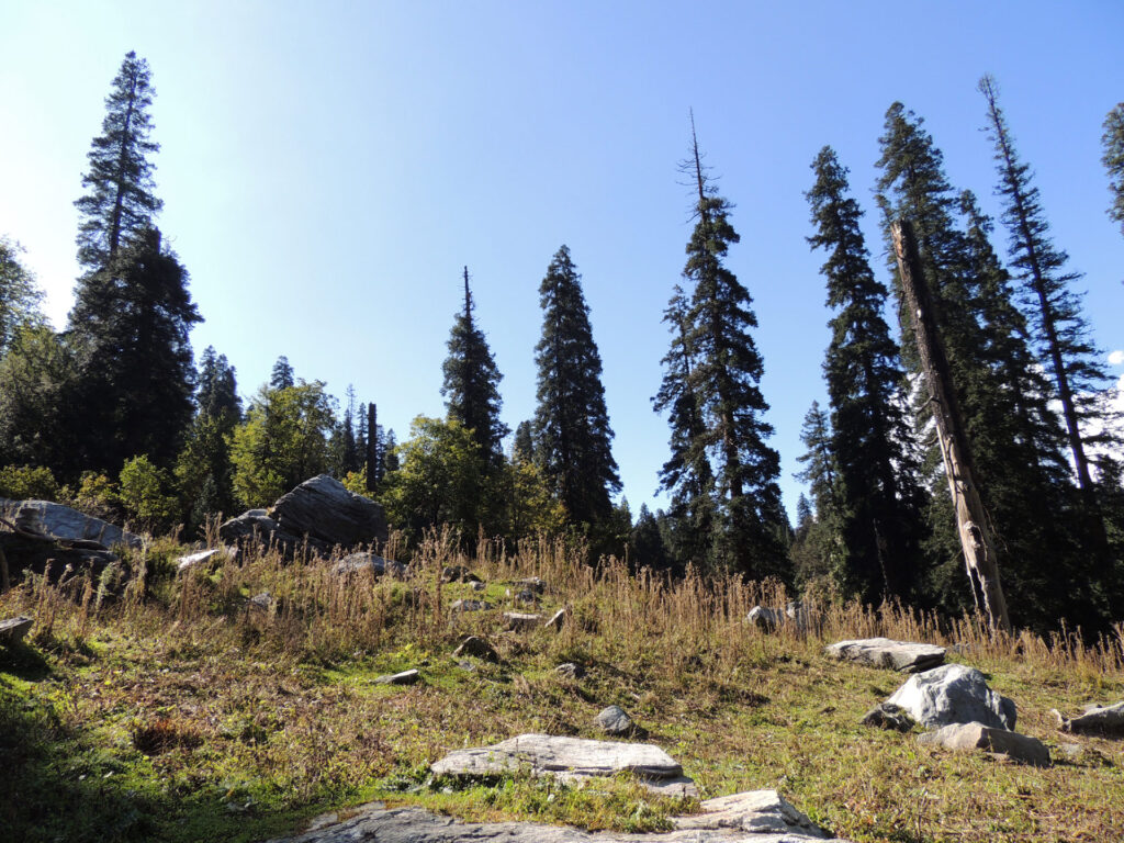 Camping in Himalaya Photo