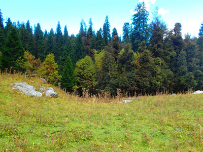 Camping in Himalaya Photo