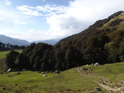 Camping in Himalaya Photo