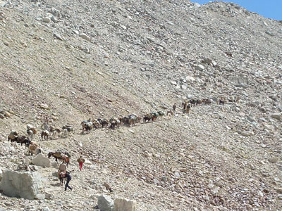 Ladakh Trek Photo