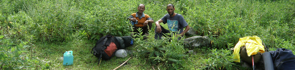 Himalaya Trek Photo