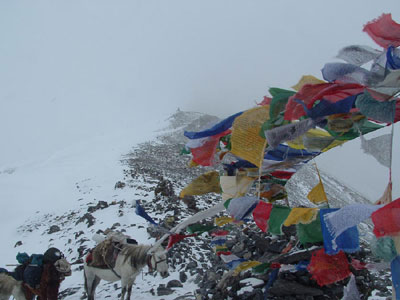 Himalaya Trek Photo