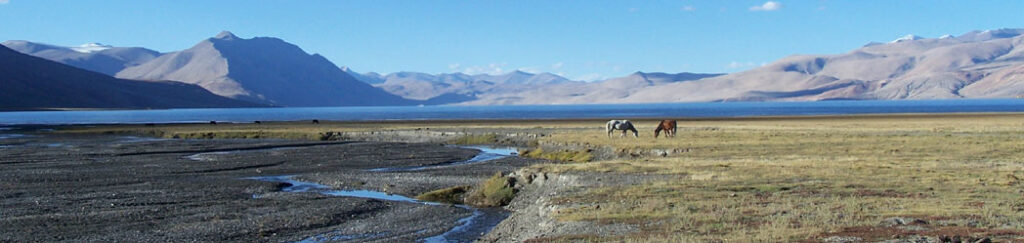 Ladakh Trek Photo