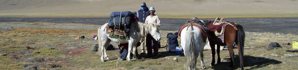 Ladakh Trek Photo