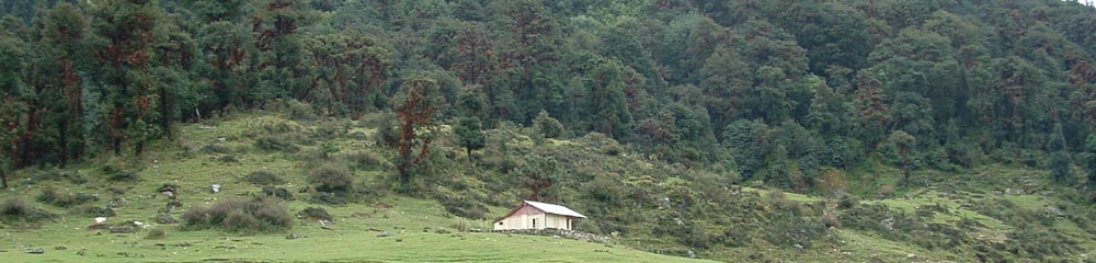 Himalaya Trek Photo