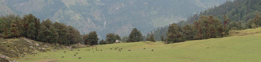 Himalaya Trek Photo