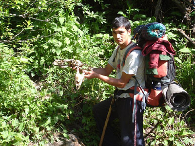 Himachal Himalaya Trek Photo